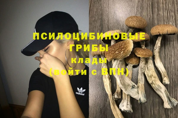 скорость Дмитриев