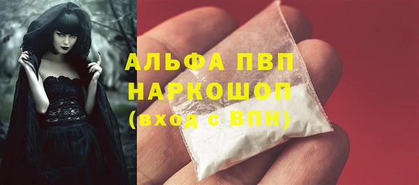 шишки Елизово