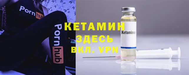 мяу мяу мука Дмитров