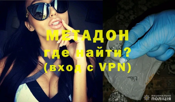 шишки Елизово