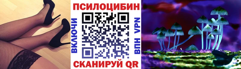 Галлюциногенные грибы GOLDEN TEACHER  Купить  Колпашево 
