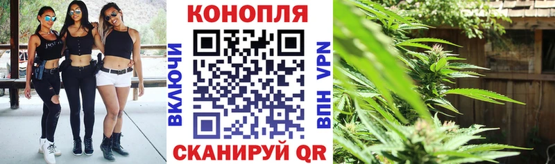 Марихуана White Widow Купить где Колпашево